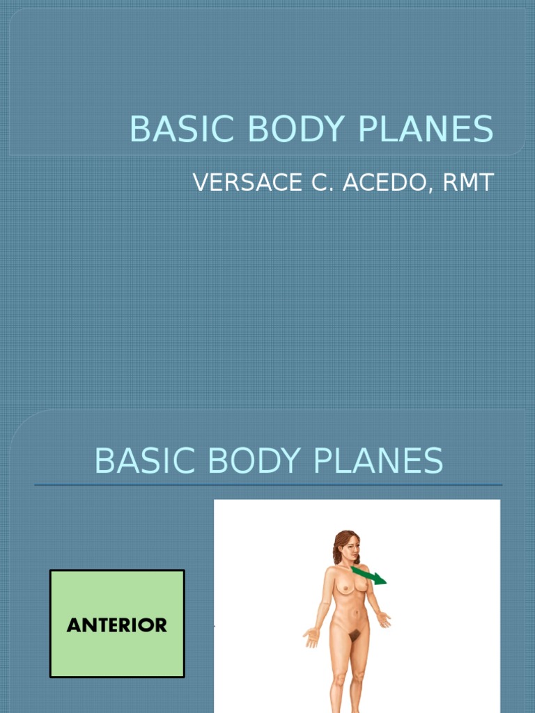 Understanding Basic Body Planes | PDF
