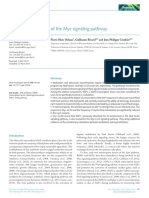 NSP1 is a Component of the Myc Signaling Pathway