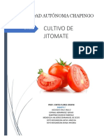 Cultivo de Jitomate