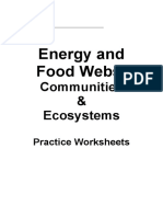 Food Chain and Food Web Notes and Worksheets.doc