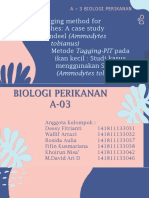 A-03 - RUAYA - PIT Tagging Method For Small Fishes A Case Study Using Sandeel (Ammodytes Tobianus)