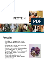 Protein