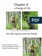 Chapt04 ENERGY OF LIFE PDF