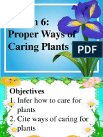 How to Care for Plants