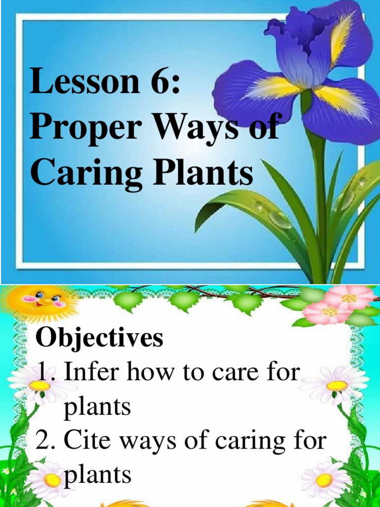 Caring for Plants: Essential Tips | PDF | Home & Garden | Science &  Mathematics