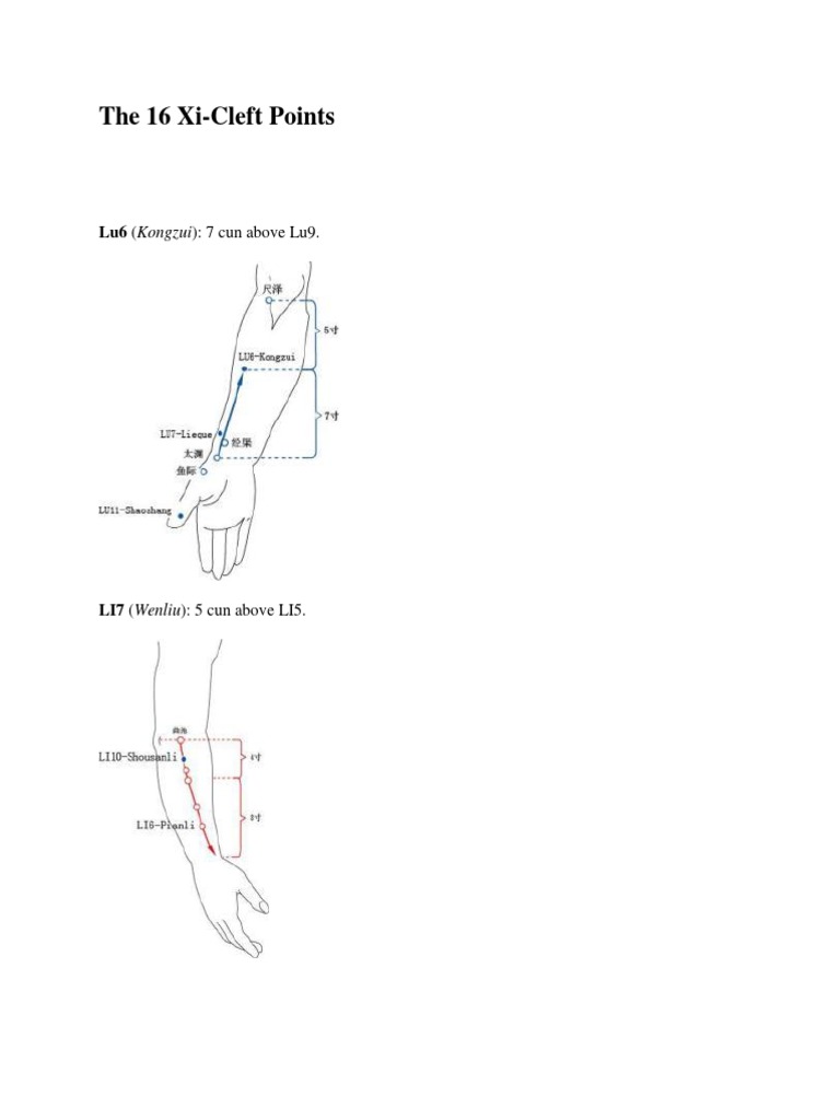 The 16 Xi-Cleft Points: Lu6 (Kongzui) : 7 Cun Above Lu9 | Download Free ...