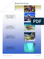 Zones of The Ocean PDF