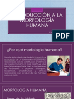 Clase 1 Introduccion Morfologia Humana
