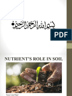 nutrient soil.pptx