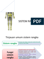 SISTEM RANGKA.pptx