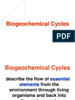 Biogeochemical Cycles