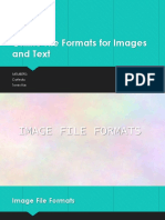 Online File Formats For Images and Text