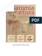 Anatomia 