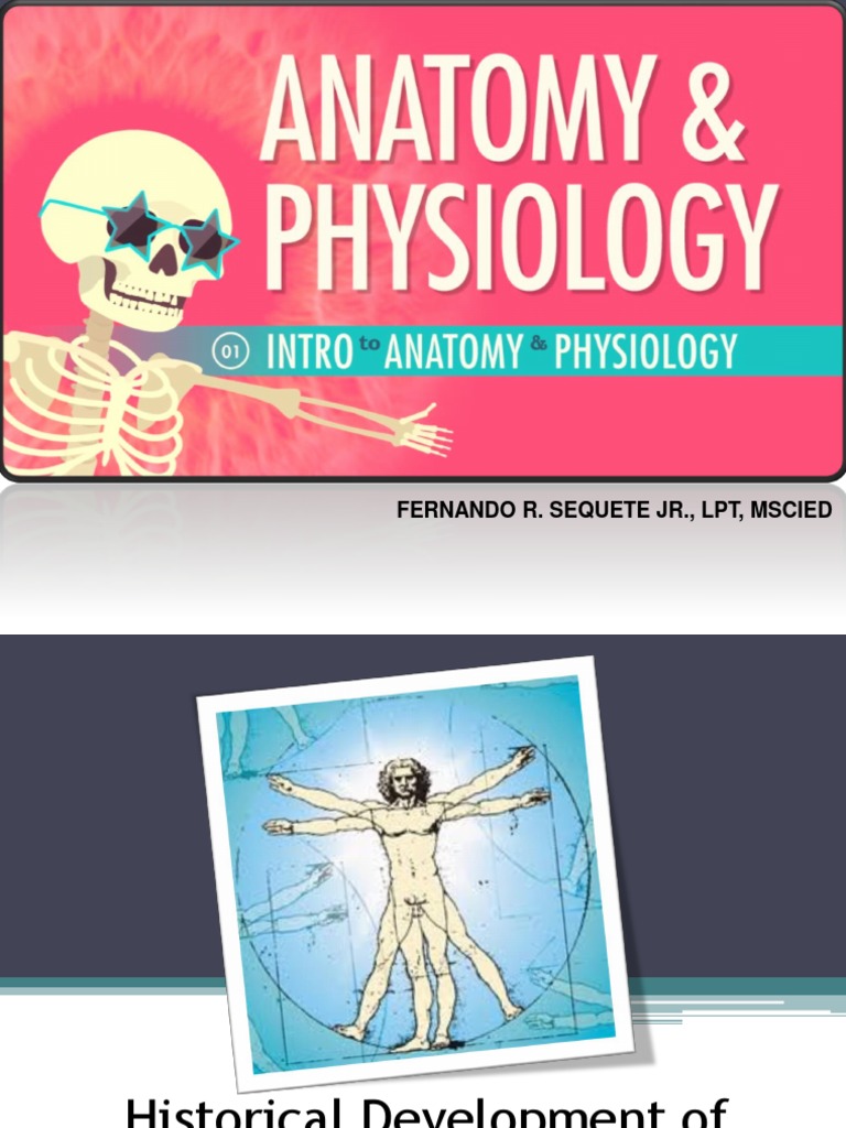Lecture 1 - Introduction To Anatomy and Physiology | PDF | Anatomical ...
