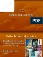 10.2 Mendelian Genetics