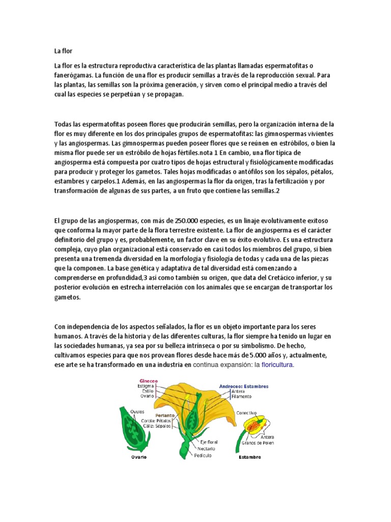 Estructura y función de la flor | PDF