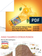 Producto. Tampico