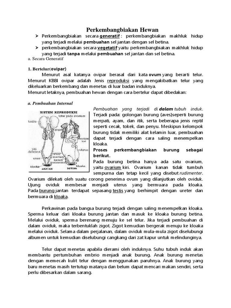 Arti Kata Menakol Kamus Besar Bahasa Indonesia Kbbi Online Lektur Id