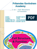 Cell Structure Function2