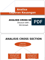 Analisa Cross Section PPT.pptx