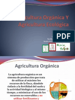 Agricultura Orgánica Y Agricultura Ecológica