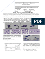 Prueba Saber 7 Ciencias Nat