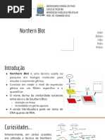 Biomol_ Northern Blot