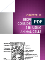Bioprocess Consideration S in Using Animal Cells