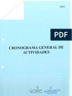 Cronograma de Actividades