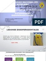 Lesiones Endoperiontales