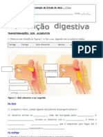 função digestiva