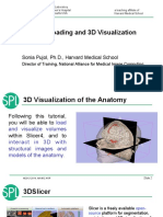 3D Slicer PDF