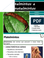 EL.pdf