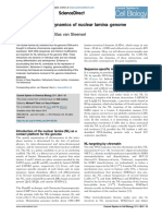 Mechanisms and Dynamics of Nuclear Lamina-Genome Interactions