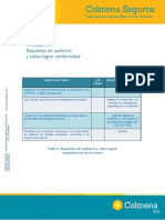 Requisitos de Auditoria PDF