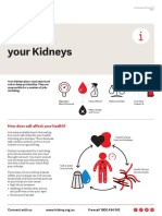 Salt and Your Kidneys: Fact Sheet