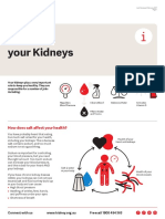 Salt and Kidneys: How Too Much Sodium Can Harm Your Kidney Health