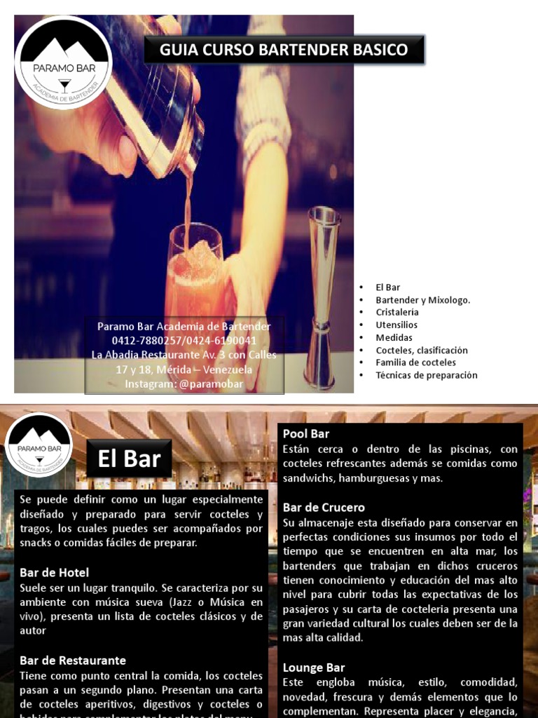 Guia Bartender Basico PDF | Litro | Bar