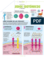 Como Funcionan Los Líquidos Isotonicos en Nuestro Organismo