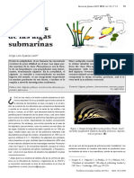 10413-Texto del artículo-41277-2-10-20141107.pdf