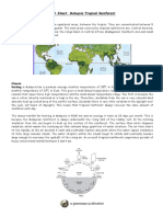 Fs Tropical Rainforests - Malaysia PDF