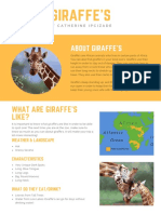 Giraffe Newsletter 2