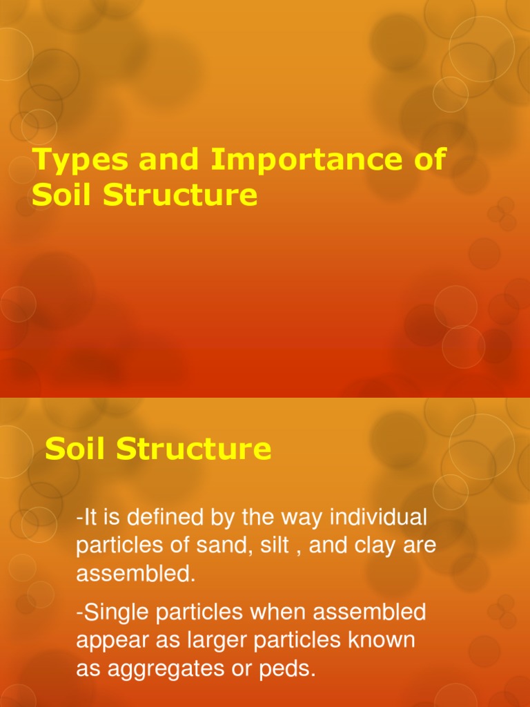 The Forms and Functions of Soil Structure An InDepth Look at Types of