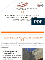 Principales Ataques Al Concreto