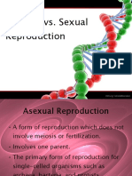 Sexual VS Asexual