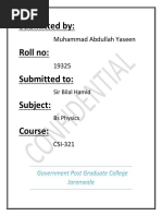 PDF Document