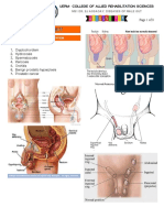 Diseases of Male Gastro-Urinary Tract