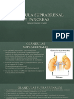 Glándula Suprarrenal y Pancreas