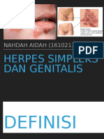 Herpes Simpleks Dan Genitals