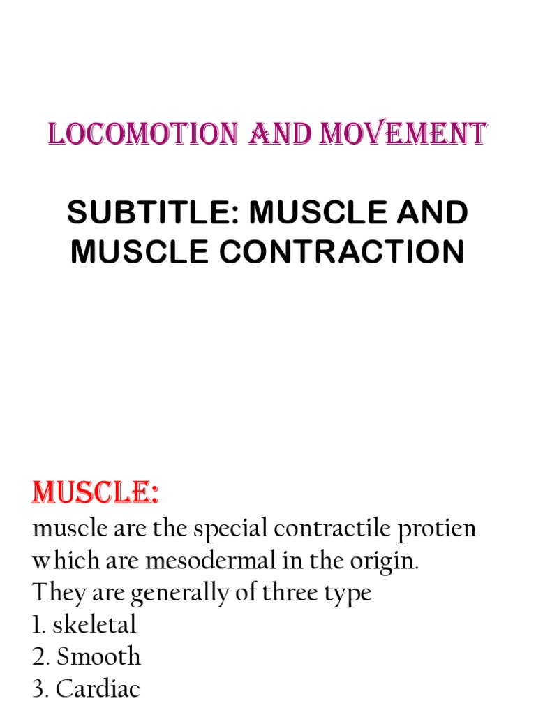 Muscle Types and Contraction Process | PDF | Science & Mathematics ...